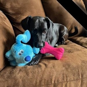 Meet your Posher, Tami